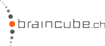 braincube AG, smart IT-Solutions for IT Support Server-Support Computer-Support Softwaredeveloment